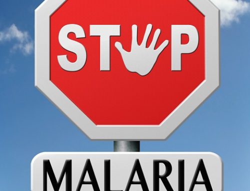 Fluoroquinolones: Their Connection to Older Anti-Malarial Drugs
